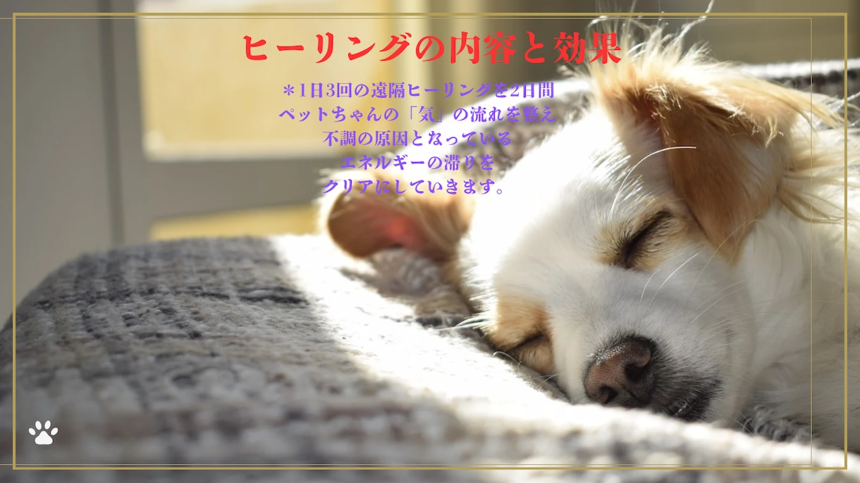 シニア犬、猫の不調ケアやさしい遠隔ヒーリングします 元氣がないペットに"氣"のサポート「エネルギーヒーリング」 イメージ2