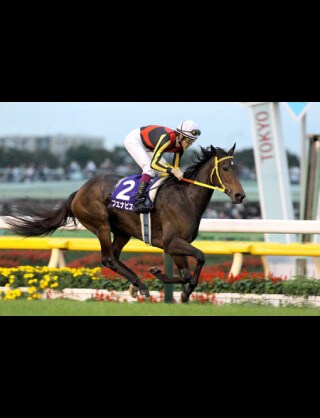 中央競馬予想 イメージ1