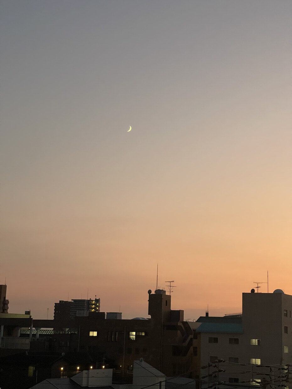 ちょっと一息⭐️3日間交換日記で寄り添います サポート☘️お悩み☘️雑談☘️安心感☘️癒し☘️心の整理 イメージ5