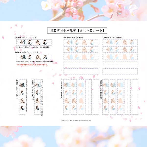 ペン字お名前練習シート【解説動画付き】制作します まずは自分のお名前から綺麗になってみませんか？ イメージ1