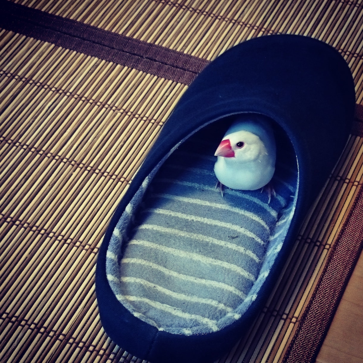 心理カウンセリングを提供します あなたのお悩みに寄り添い、人生の方向性を示します。 イメージ1