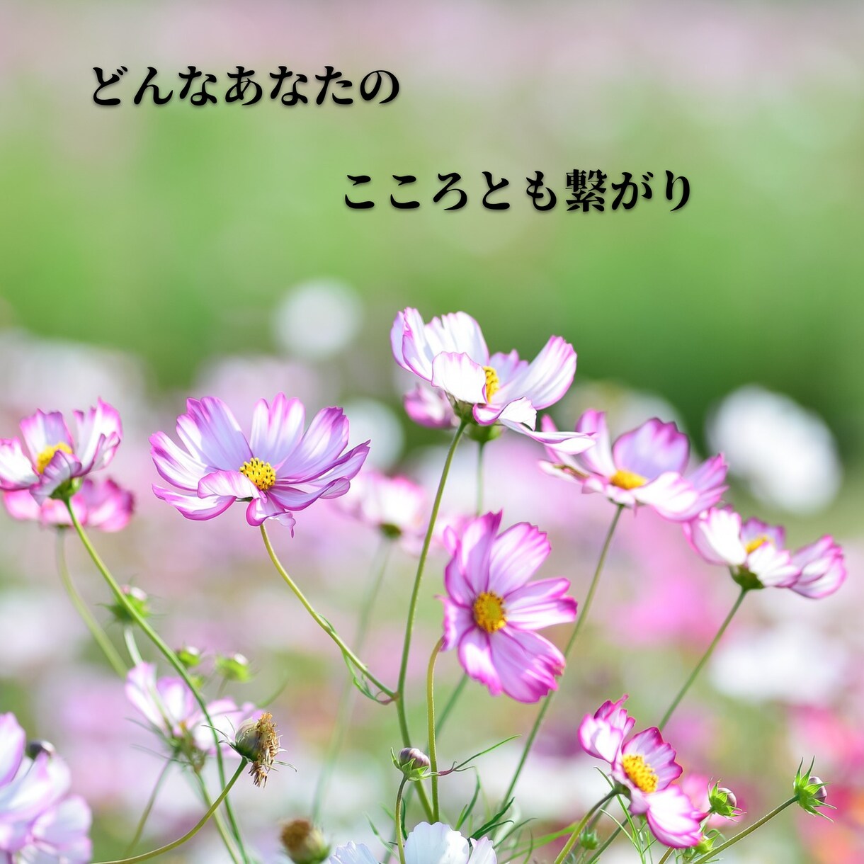 妊活チャネリング、未来へのメッセージをお伝えします 揺れ動き続けてきた心を癒し、ありのままのあなたと繋がります イメージ9