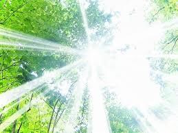 最適なメッセージを伝えます ☆幸せな未来のためのお手伝いをします☆ イメージ9