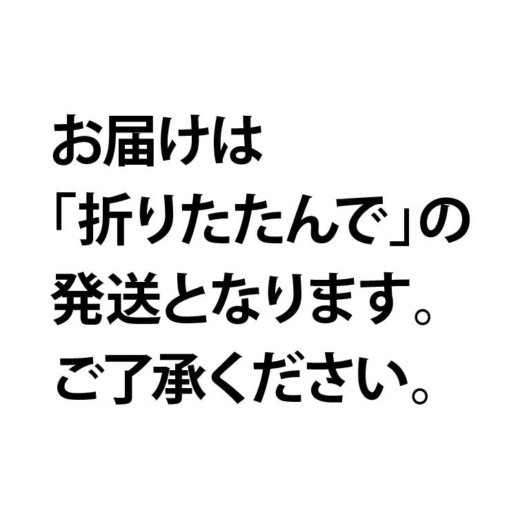 バックスクリーン（1㎡）10,000円で承ります 記者会見等でみられるバックスクリーン、サイズも自由自在！ イメージ6