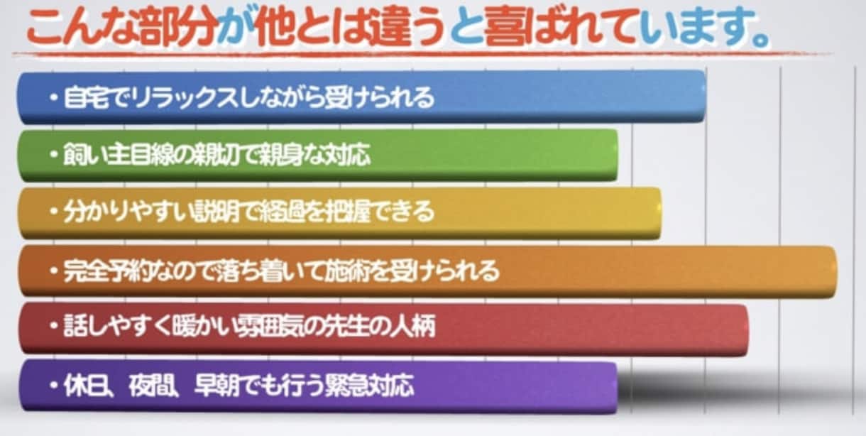 ペットヒーリング気功で元気回復を促します プロペットヒーラーの高レベルのヒーリングが受けられます。 イメージ5