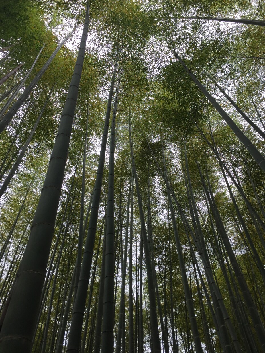 誰かと話したい！温かく、優しくお話し聞きます 雑談、愚痴、恋愛、職場、家庭の話どんな内容でも✨ イメージ7