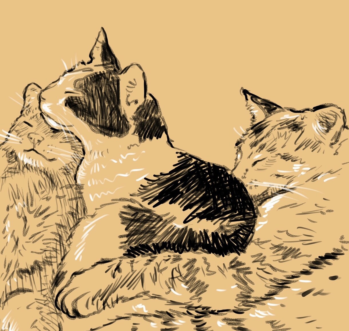 ペットのデータ画像をタブレット端末で手描きします ラフな鉛筆画風のスケッチに仕上げます。 イメージ7