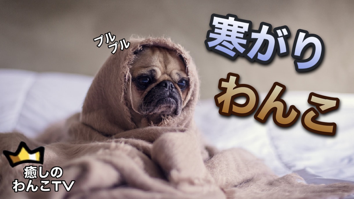 24時間以内に納品✨YouTubeサムネ作成します あっ‼️と、目を引くサムネイルを作成します！ イメージ2