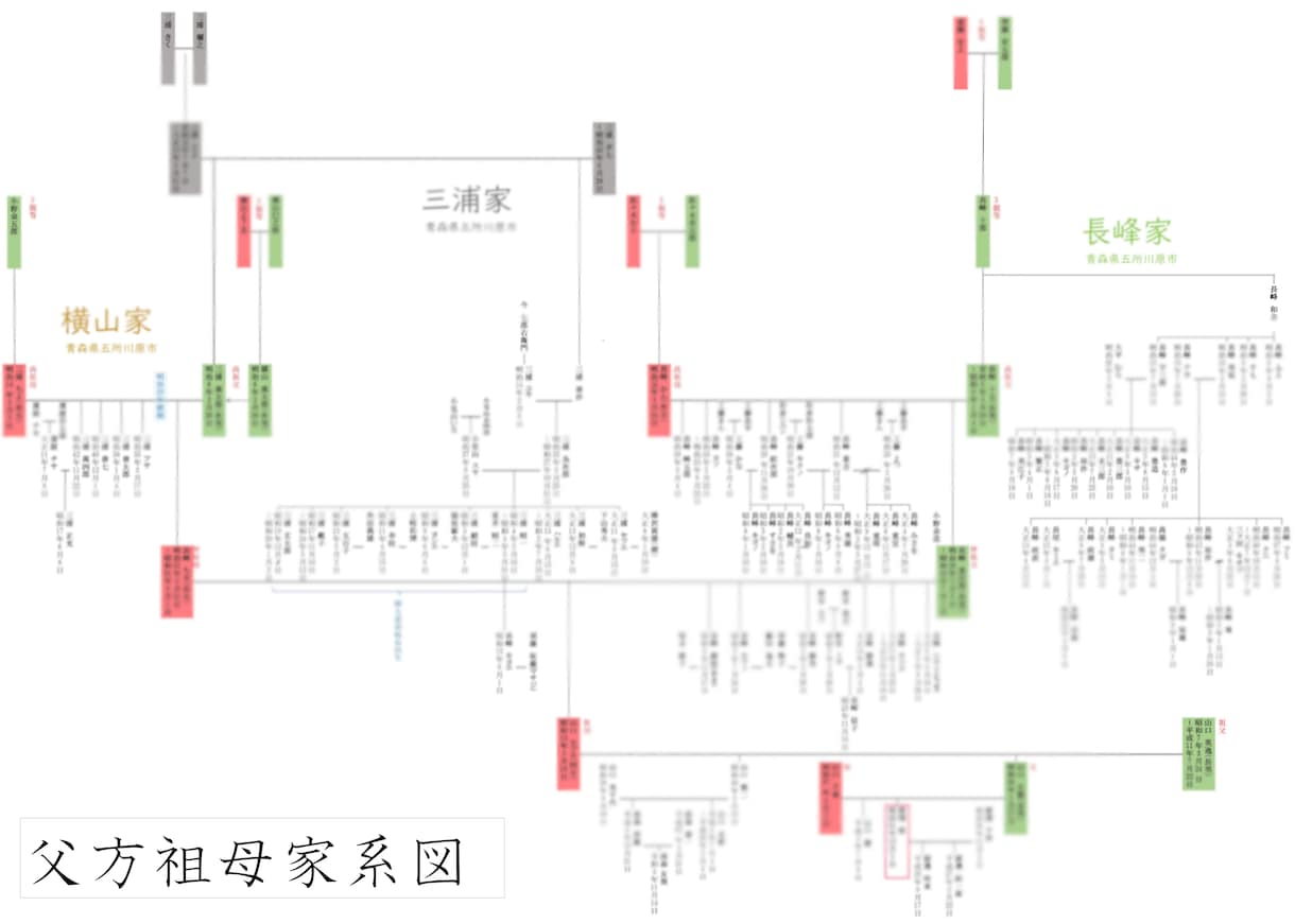 あなたの家族のルーツ、たどります 世界に一つ、あなたのための家系図 イメージ2
