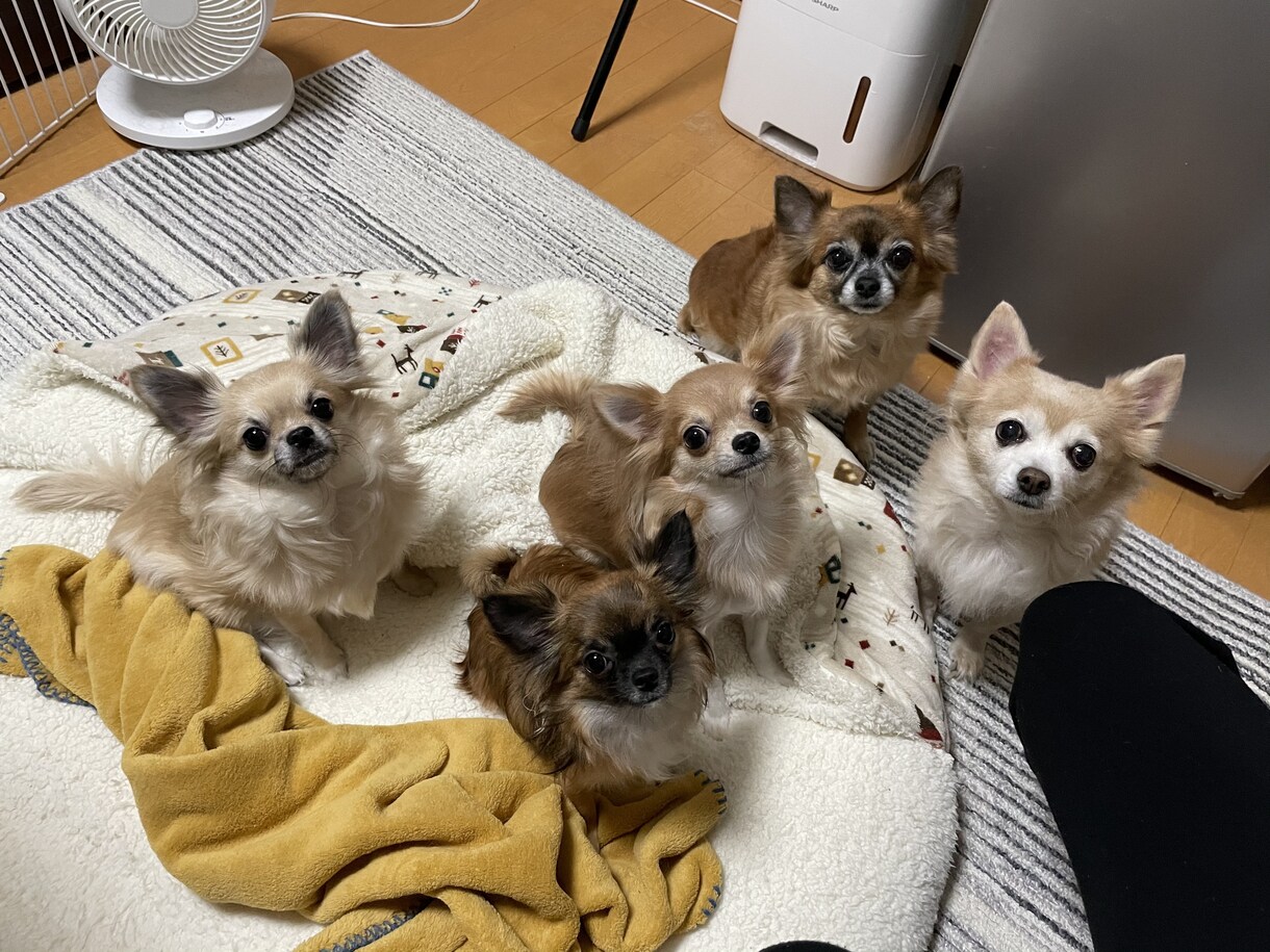 精神的な病気、うつ病でも恋愛や結婚できます 辛い努力も救われるはず！恋愛や結婚で人生が180度変わります イメージ1