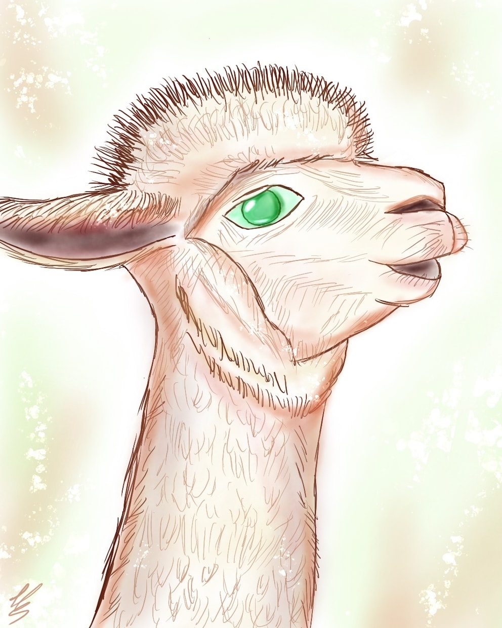 写真をもとに温かみのあるペットイラスト制作します 「写真では残せない温かさをイラストで。」 イメージ2