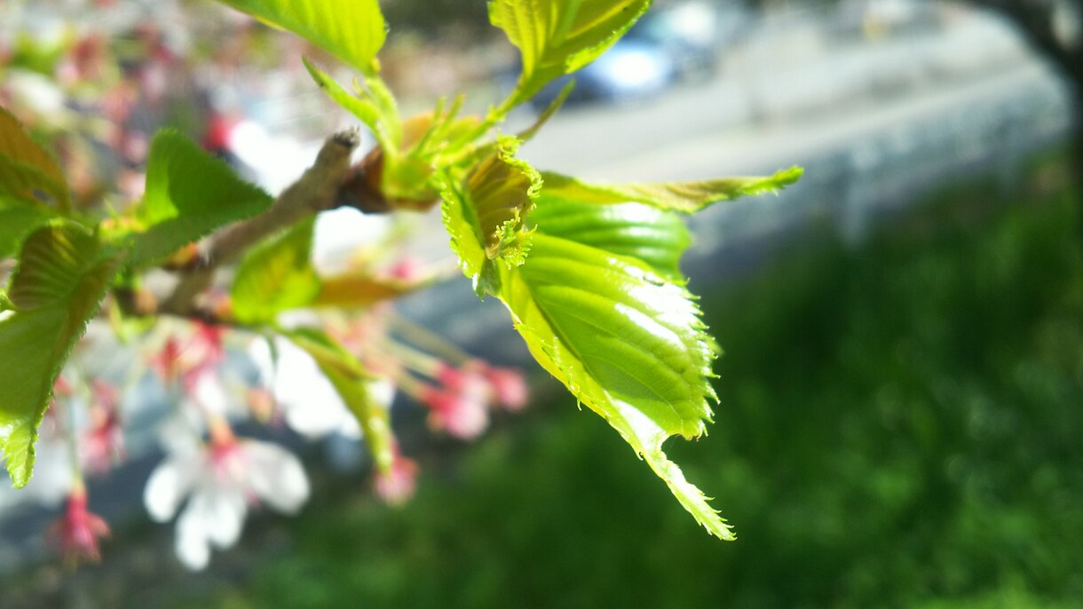 なにかの糸口をつかむお手伝いをします 自分がどうしたいのかわからない、そんなときに イメージ1