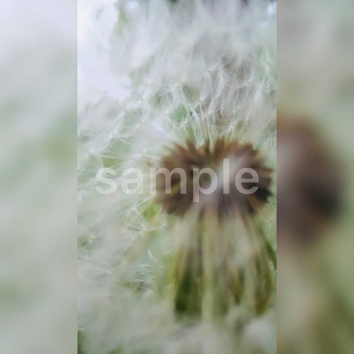 自然の写真を中心に素材をご提供いたします （SNSのアイコンや背景、広告などの商用利用にも／〜10枚） イメージ6