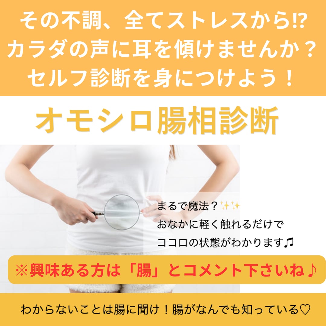 お腹に触れるだけで無意識のストレスが診断できます 自分と家族の心を日々ケアできる腸相診断を身につけませんか？ イメージ1