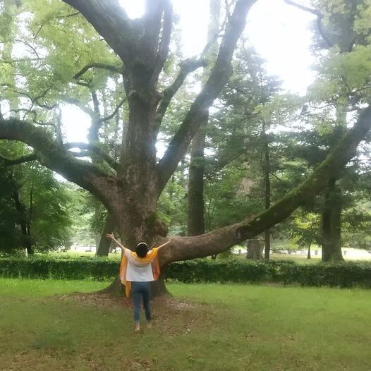 目覚めと次元上昇「なな色天使のヒーリング」をします 7色の天使達があなたの目覚めと再生を力強く助けるプログラム イメージ5