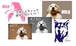 簡単な画像の切り抜き加工・文字入れいたします。画像加工／文字入れ イメージ3