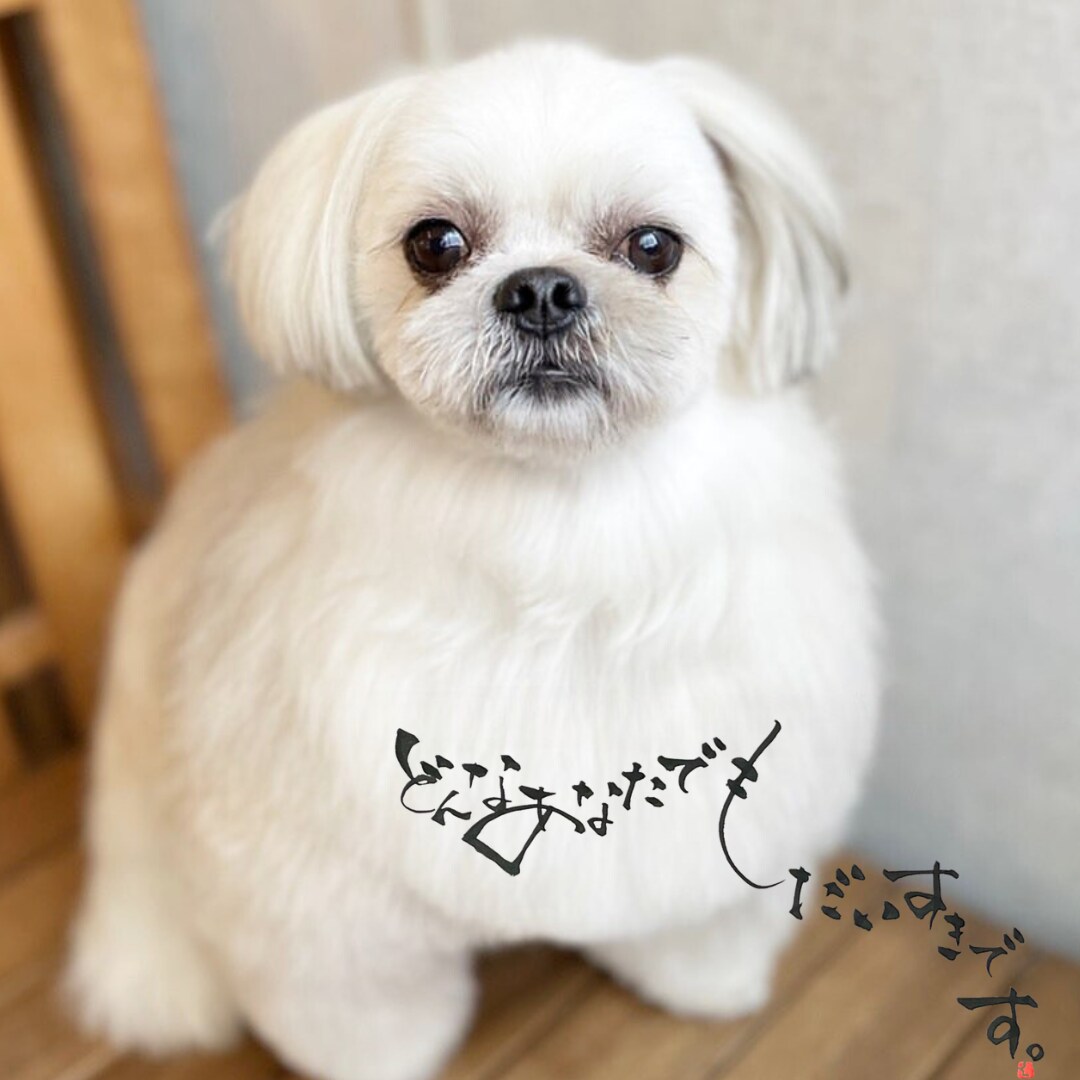 恋愛・仕事のお悩み│霊感恋愛タロットで占います 何でも相談したい│恋愛・仕事・人間関係・プライベート イメージ10