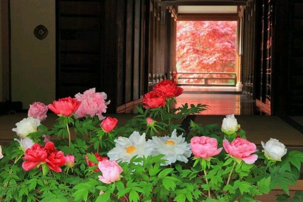 悩んでいる事を話すと心が元気になります まずは誰かに相談する事で意外な所から解決策が見つかります！ イメージ1