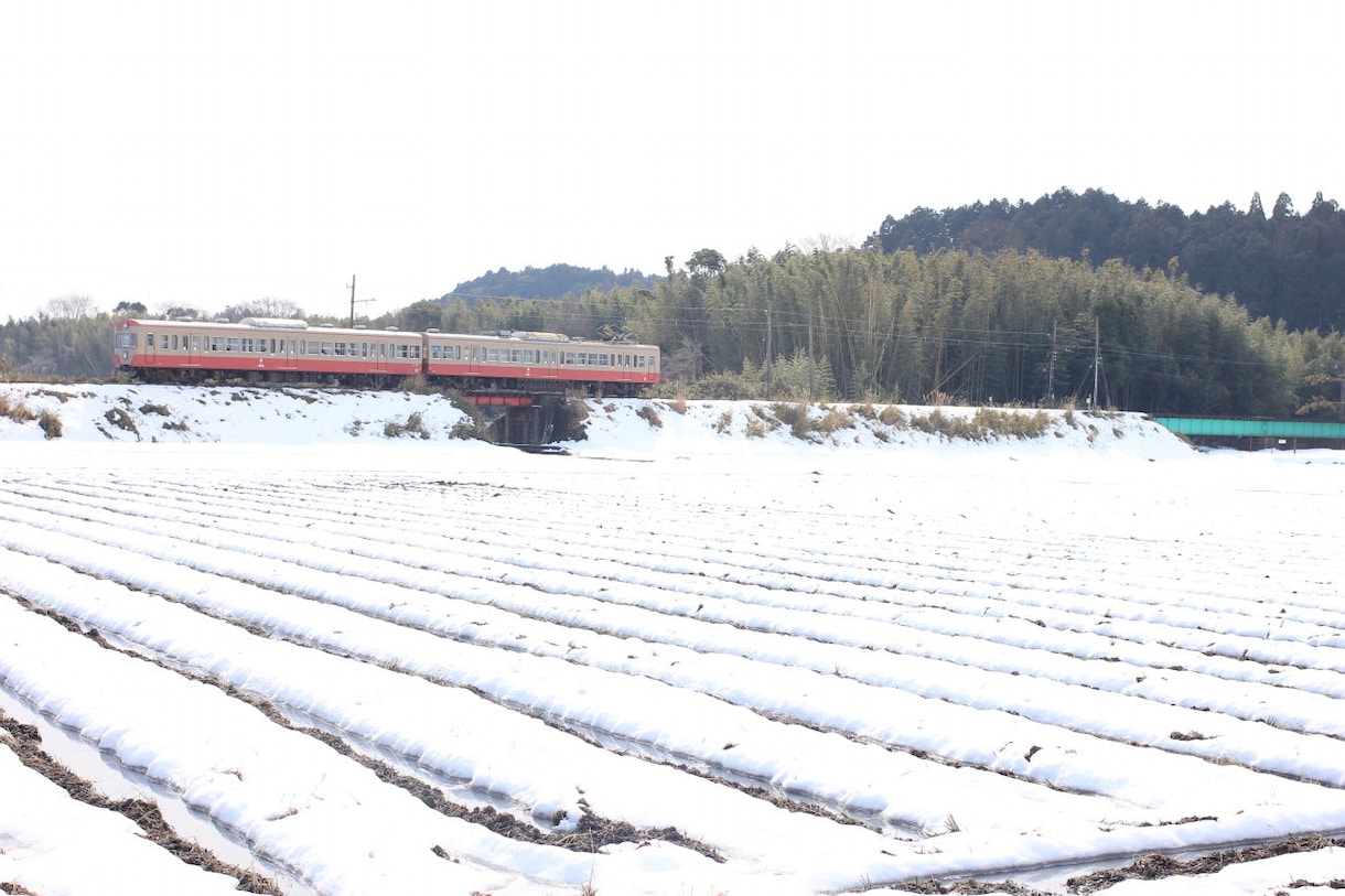 鉄道写真撮影相談に乗ります 鉄道写真の撮り方,撮影地等ビデオチャットで相談に乗ります! イメージ5