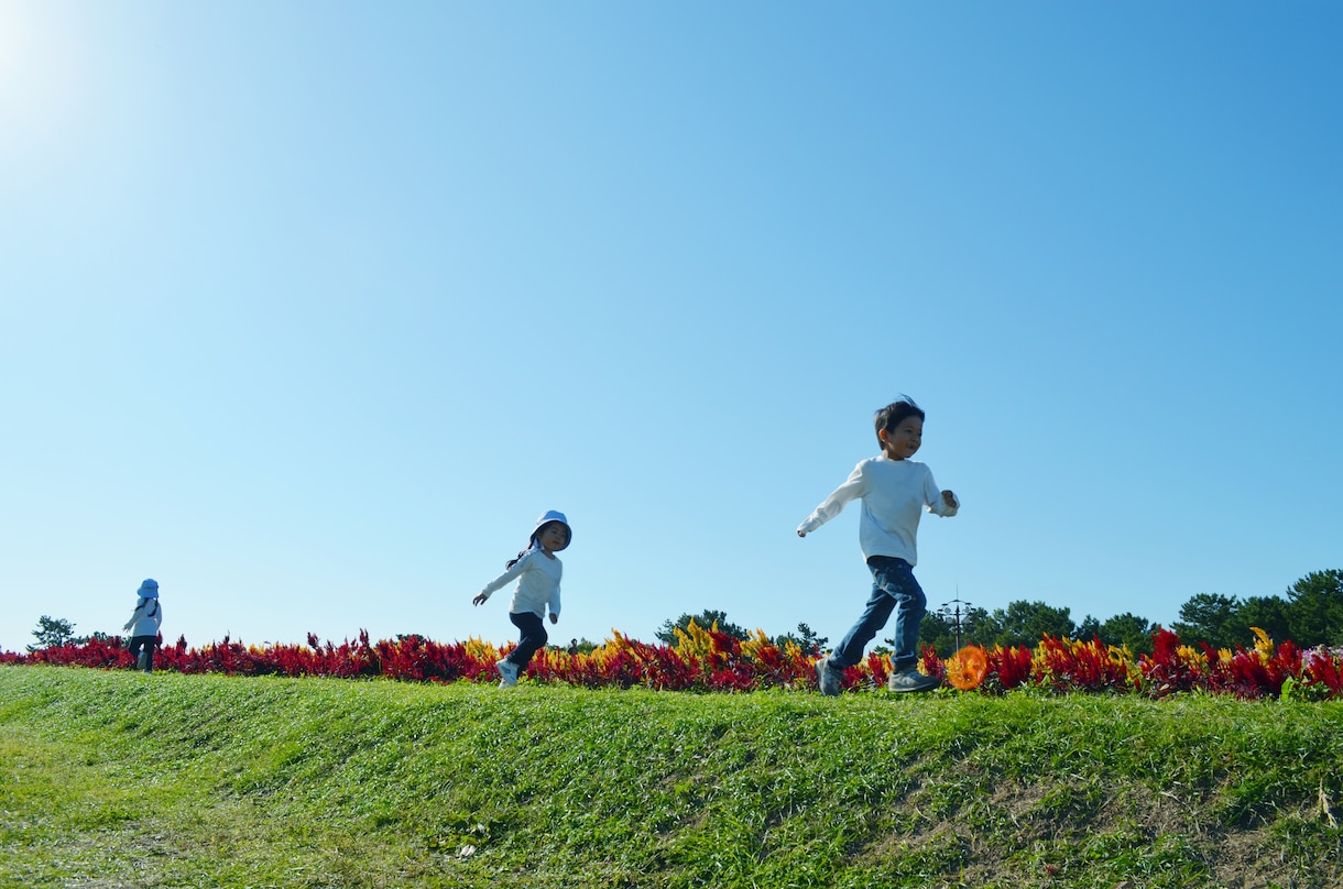 シニア専門【ワード】で らくらく！「手紙」書けます 「ワード」で書いたら「孫」に尊敬された！仕事だって頑張るぞ！ イメージ7
