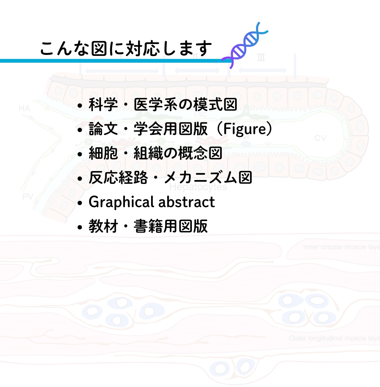 研究図・論文図・サイエンスイラストを作成します 医学・科学の模式図、シェーマ、学会用図版にも対応 イメージ3