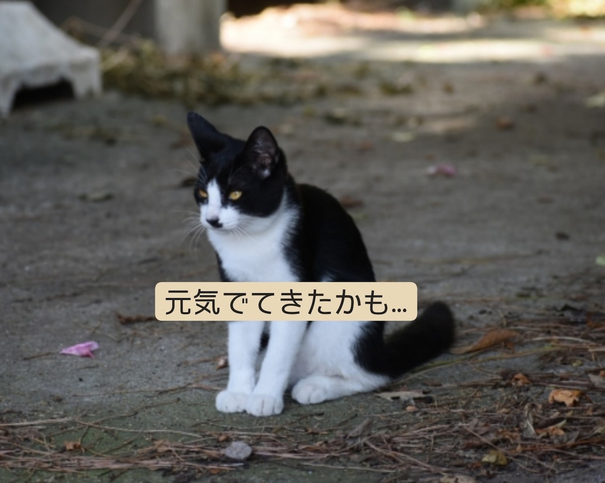 精神科ナースが電話であなたの心を癒します 少しだけ話したい…悩み相談/世間話/恋愛も♡ イメージ6