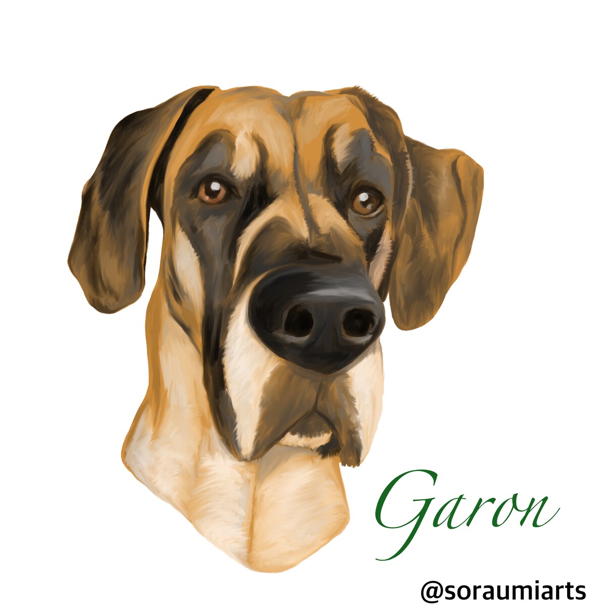かわいいうちの子を描きます あなたの愛犬、愛猫をイラストにしませんか？ イメージ5