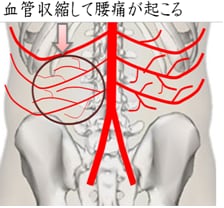 腰痛が楽になる安定ゾーン＝姿勢改善方法を教えます 腰をスイスイ動けるようになる重心バランスを教えます～ イメージ6