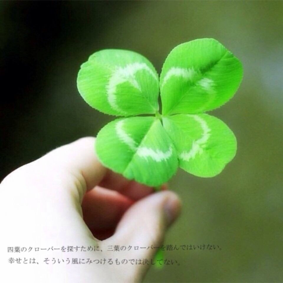 相談、愚痴などのお話聞きます 真剣にお気持ちに寄り添います(*˙˘˙*)ஐ イメージ1