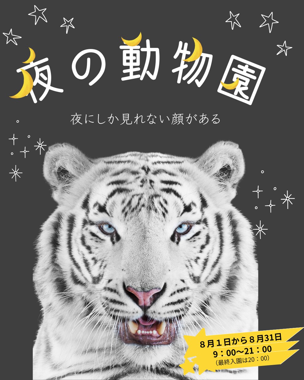 インスタ投稿画像作成します ２投稿セット！（１投稿6枚）修正無制限で理想のデザインを イメージ7