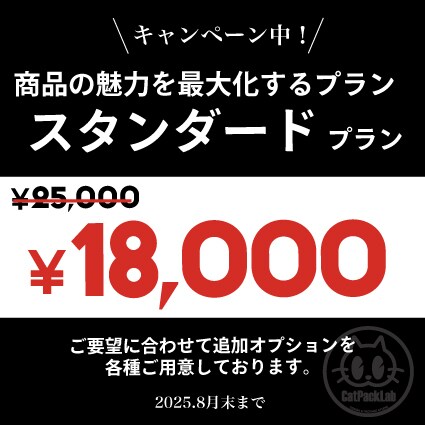 スタンダードプラン！商品の魅力を最大化します お試し価格！法人品質デザインを特別提供【キャンペーン価格】 イメージ2