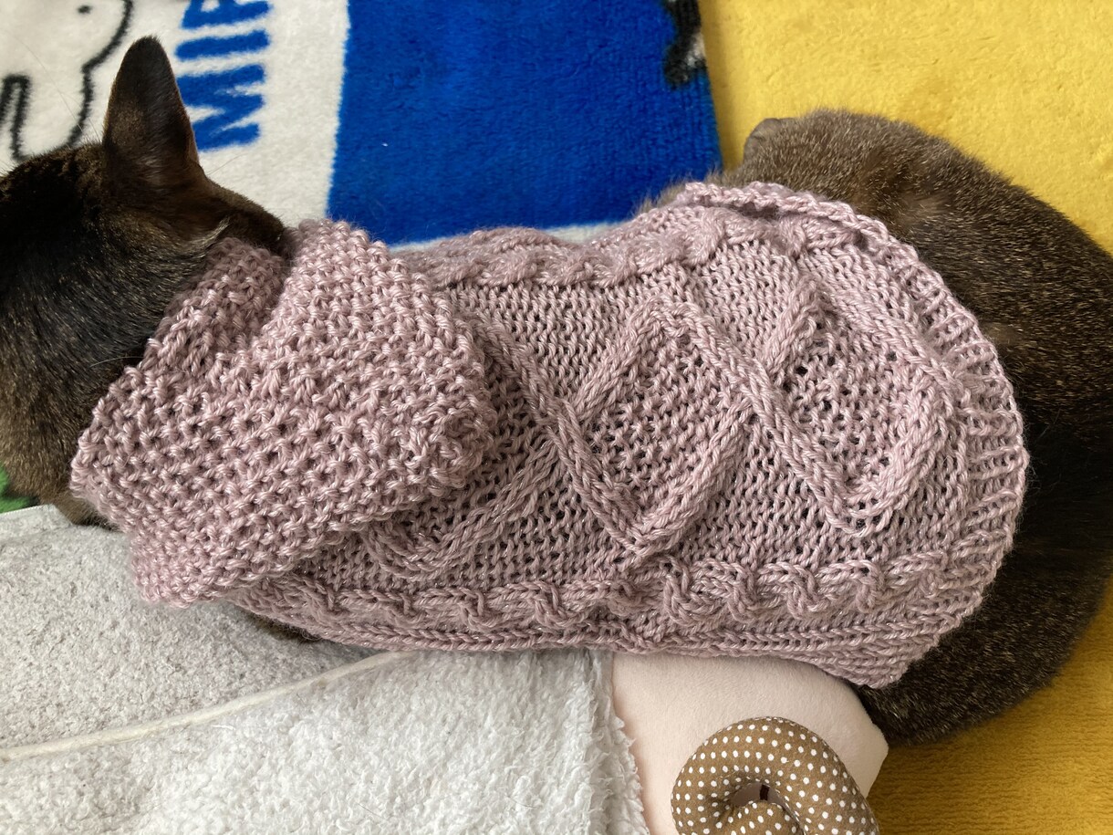編み物代行してお編みいたします ワンちゃん（犬）ネコちゃん（猫）ベビー（赤ちゃん）ニット イメージ9