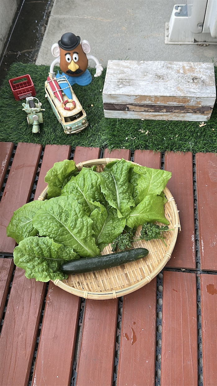家庭菜園(プランター)の楽しみ方、料理教えます ベランダ菜園5年目。年間10-20種類育て楽しんでます。 イメージ1