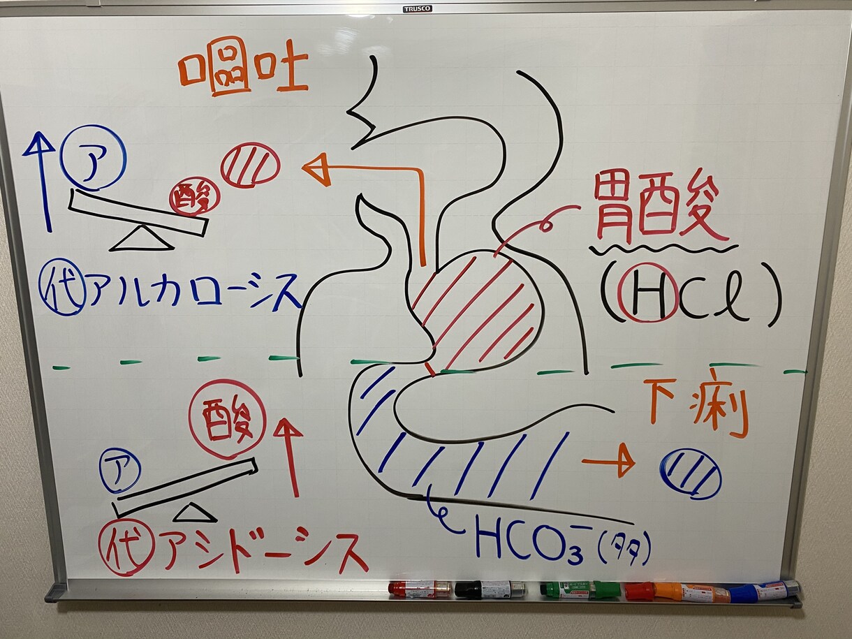看護学生さん必見！完全個別サポートを行います 国家試験対策・実習対策、なんでもご相談ください⭐️ イメージ6