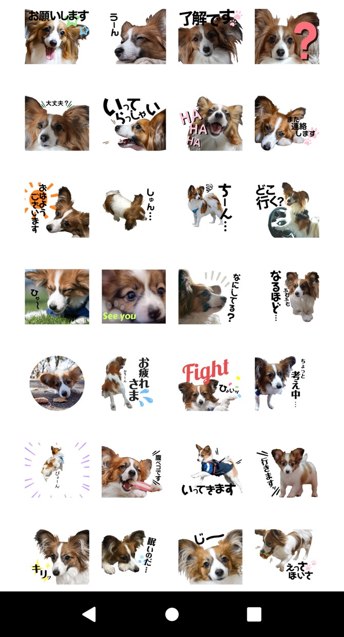 お好きな写真でLINEスタンプを作成します ペットや思い出の景色などをLINEスタンプにしませんか？ イメージ3