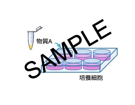 医療・科学系の資料作成をお手伝いします 目指せ最優秀発表賞！！受賞経験者がお手伝いします。 イメージ3