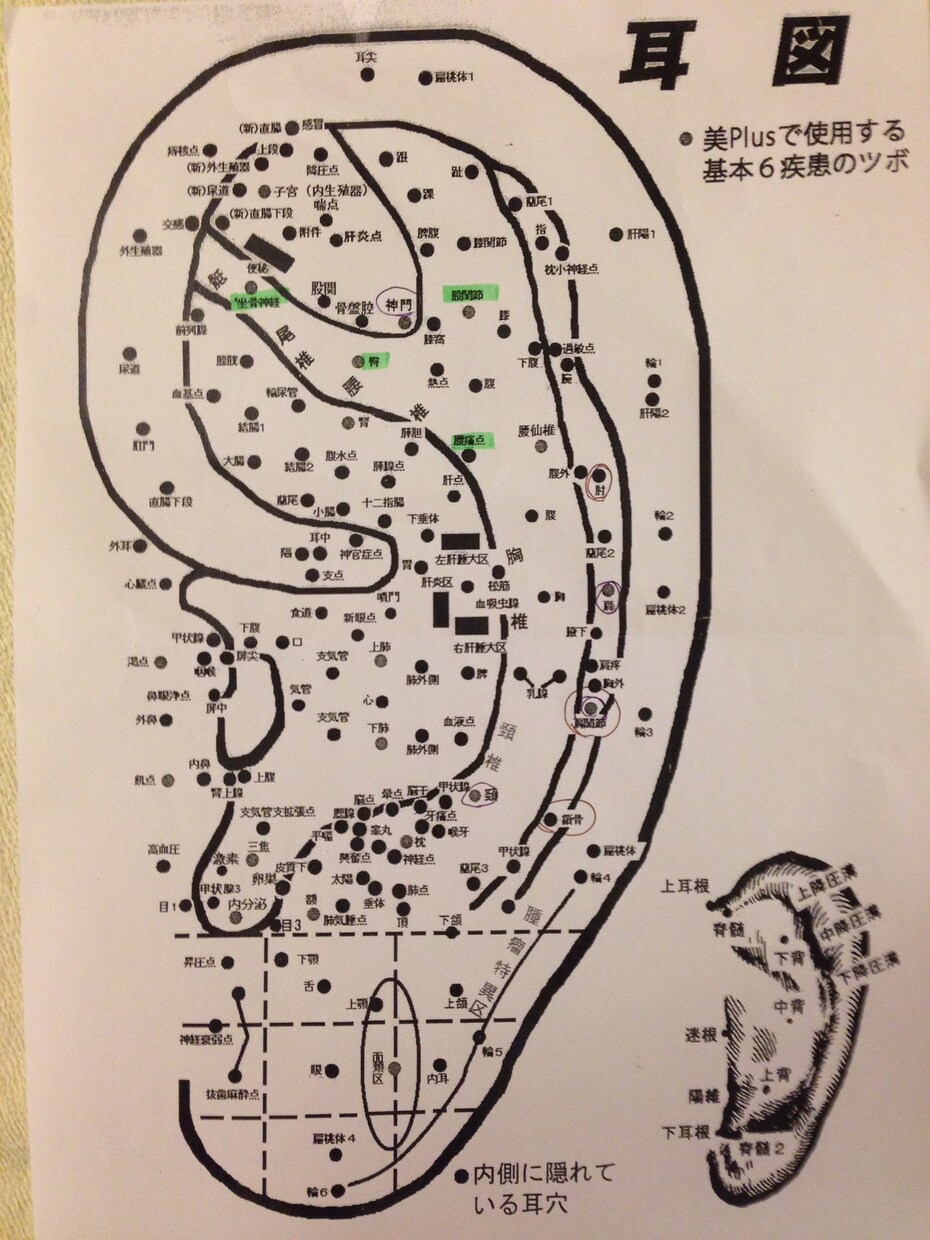 様々症状に効く耳つぼ教えます 花粉症、眼精疲労、肩こり、腰痛等に効く耳つぼ教えます‼️ イメージ1