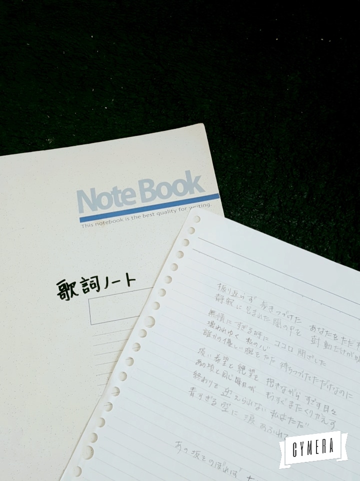 あなた曲に、あなただけの歌詞をつけます 作詞歴20年以上のパワーでお手伝い致します！！ イメージ3