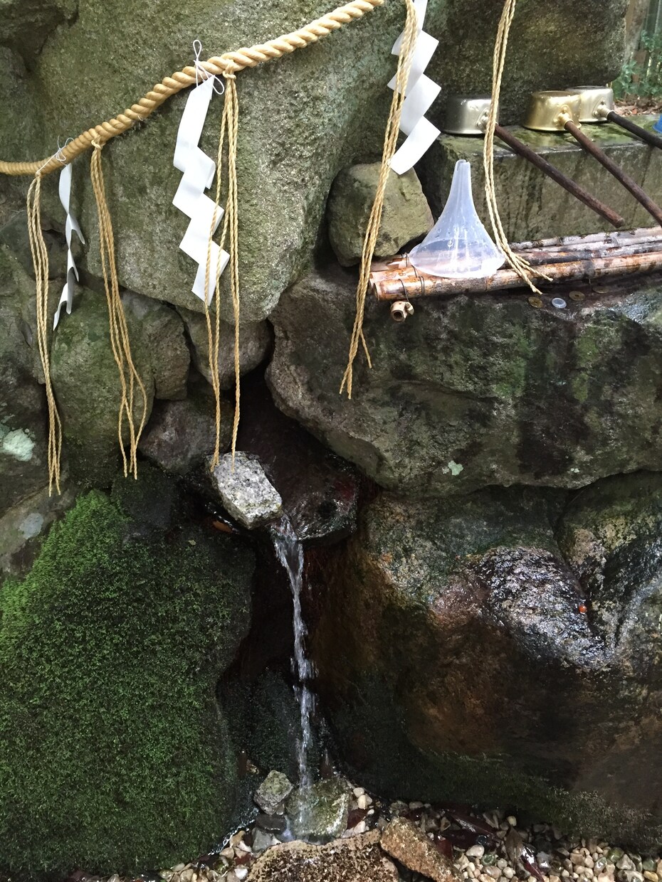 あなたに必要なメッセージをお届けします 気軽にお試し占い。気持ちがスッと楽になります！ イメージ1