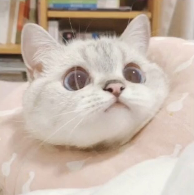 LINE感覚✉️30分間すぐに返信します 電話は苦手だけどお話し相手がほしい、そんなあなたに イメージ3