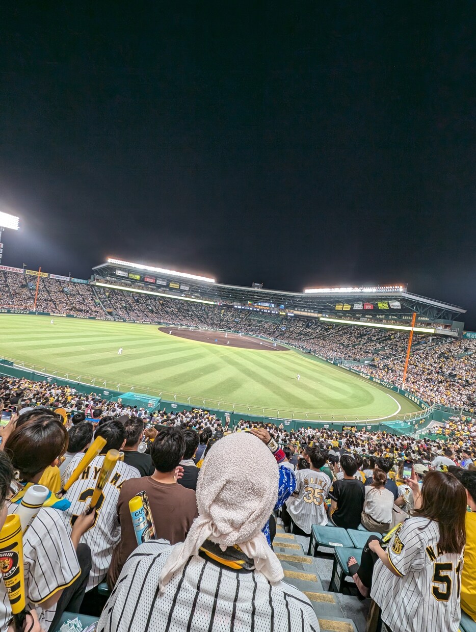 野球場で撮影した写真を販売します 趣味で撮った写真(甲子園やエスコンでの)を提供します イメージ1