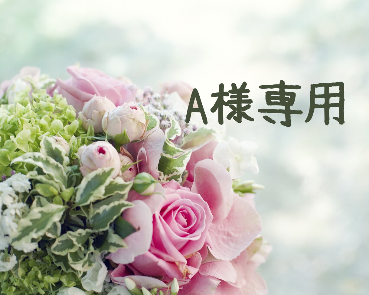 A様専用で対応させていただいております A様のみがご利用いただけますのでよろしくお願い致します イメージ1