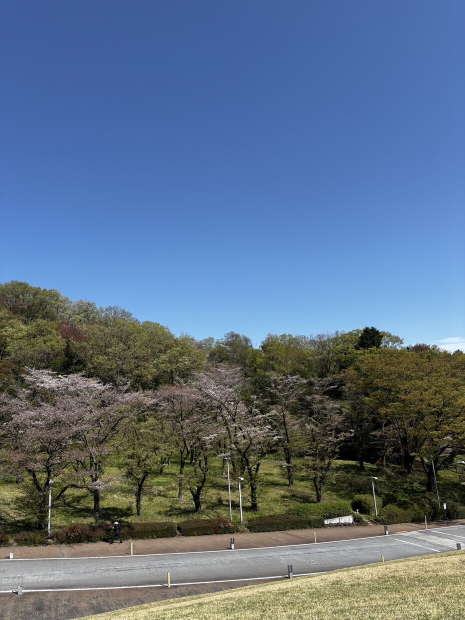 景色や花等、風景写真を撮っています 行けないところの景色を提供します。 イメージ5