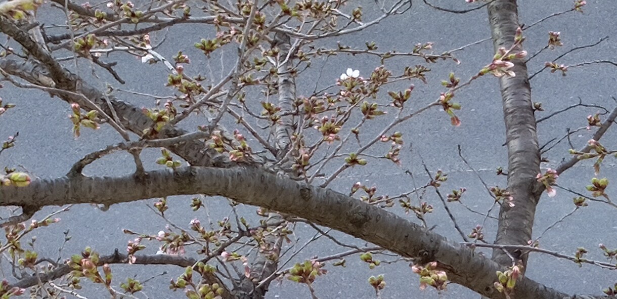 こんな写真をとご要望が頂ける様精進いたします どのような写真がご入り用ですか。 イメージ9