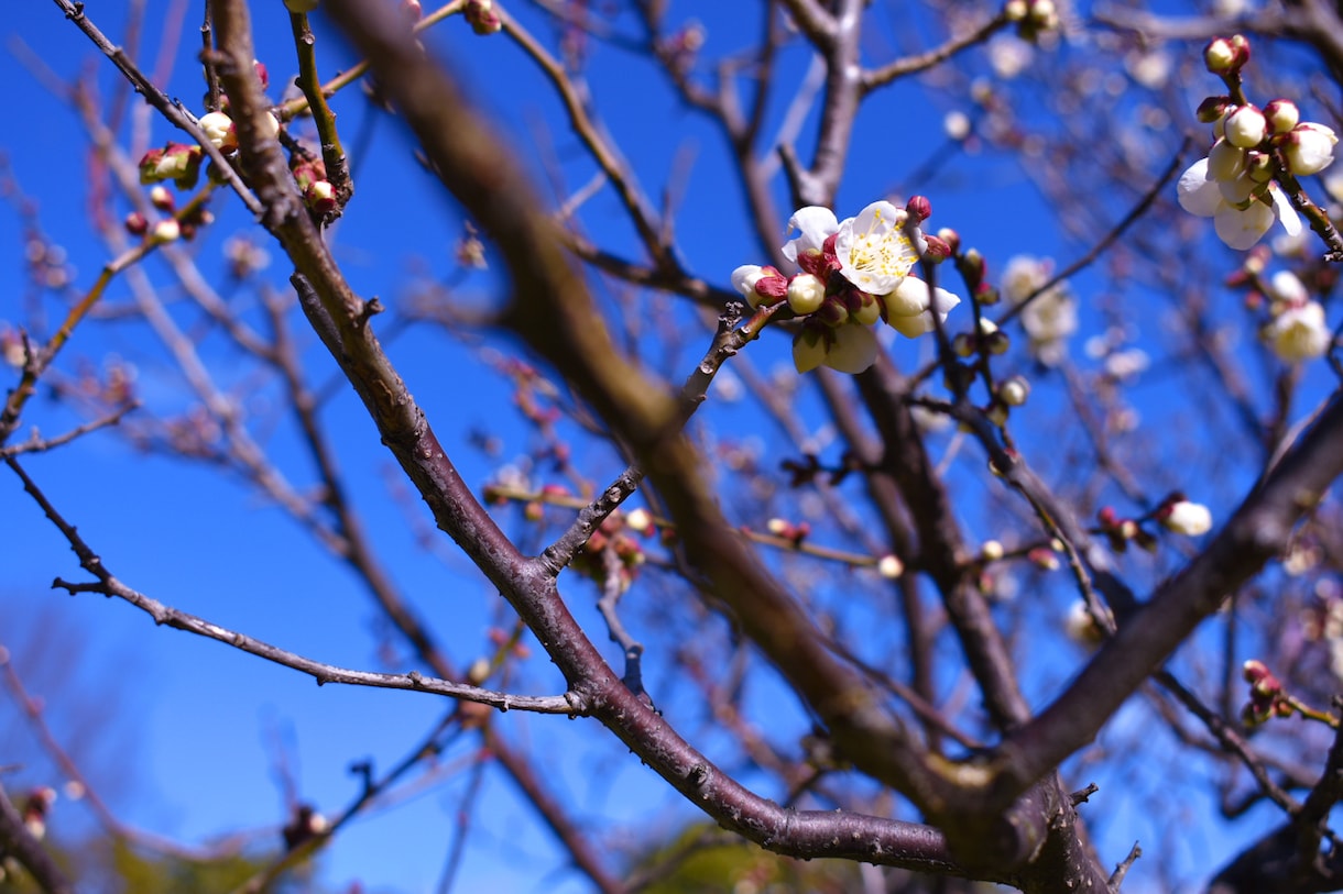 写真を代行します 見たことの無い景色をあなたへ。。 イメージ2