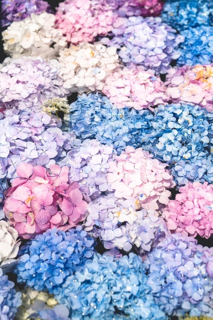断ち切れない悩みや不安を聞きます 心の中にある不安や誰にも言えない悩み✨聞きます。 イメージ1