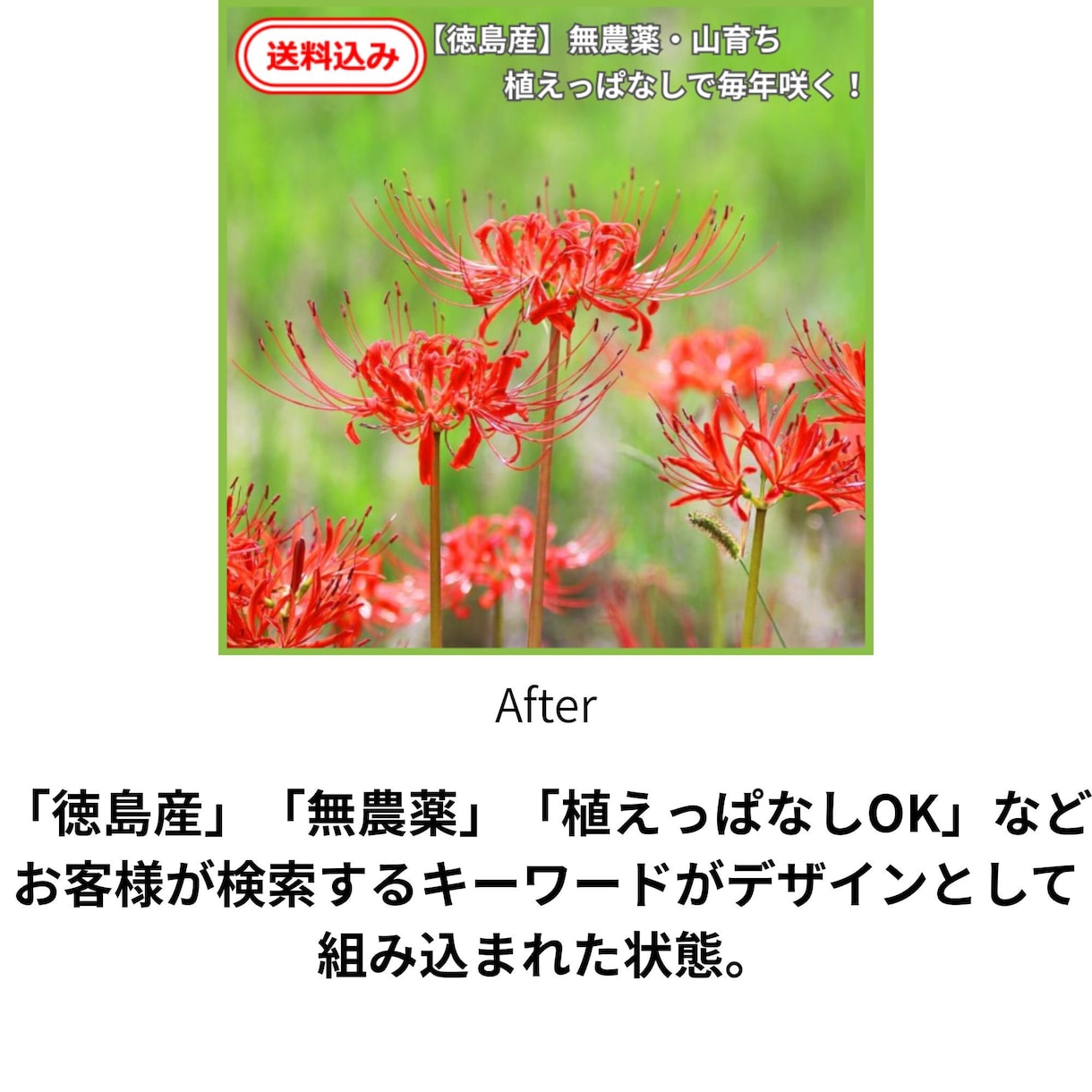 楽天・Yahoo・メルカリ！売れるページ制作します 現役運営者が伝授！自前画像を活かしたSEOとスマホバナー制作 イメージ2