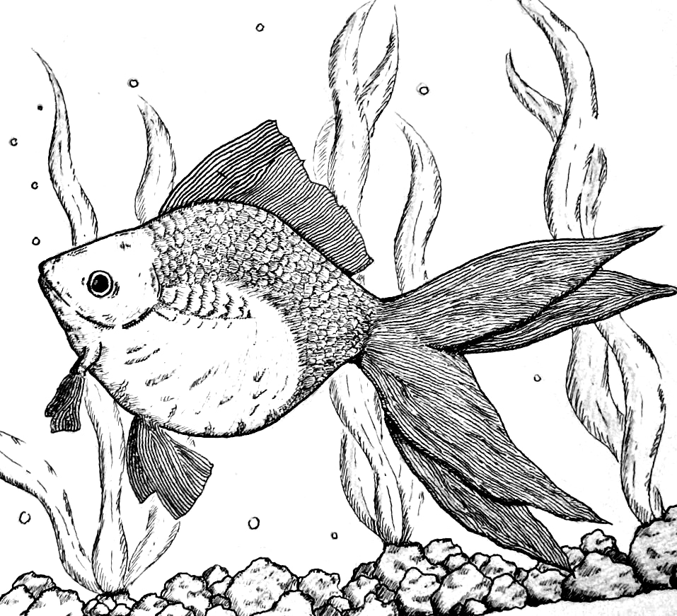 完全オリジナルのイラストを制作します あなた好みのイラストを格安且つ最短でご用意いたします イメージ2