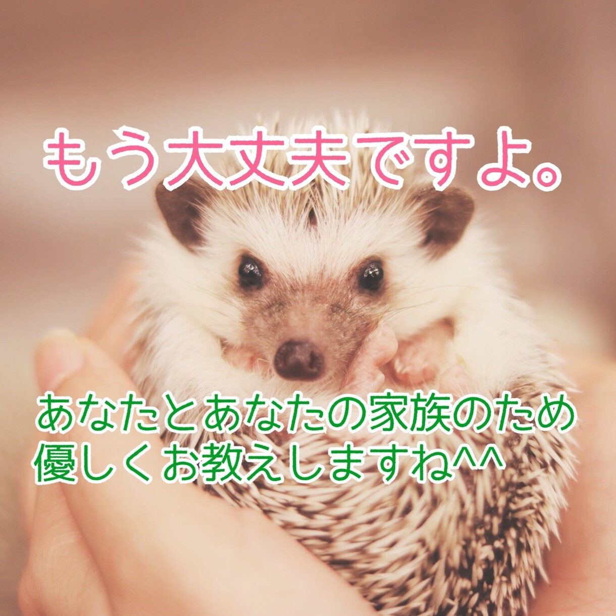 家族が鬱病に…接し方お教えします ボイスサンプル有☆元鬱病患者の私がお教えします！ イメージ2