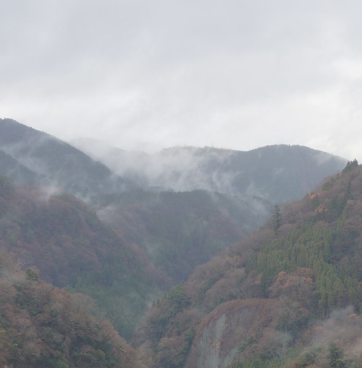 未来が明るくなるお言葉お伝えします ちょっと沈んでしまったあなたに、未来を明るく照らします イメージ1